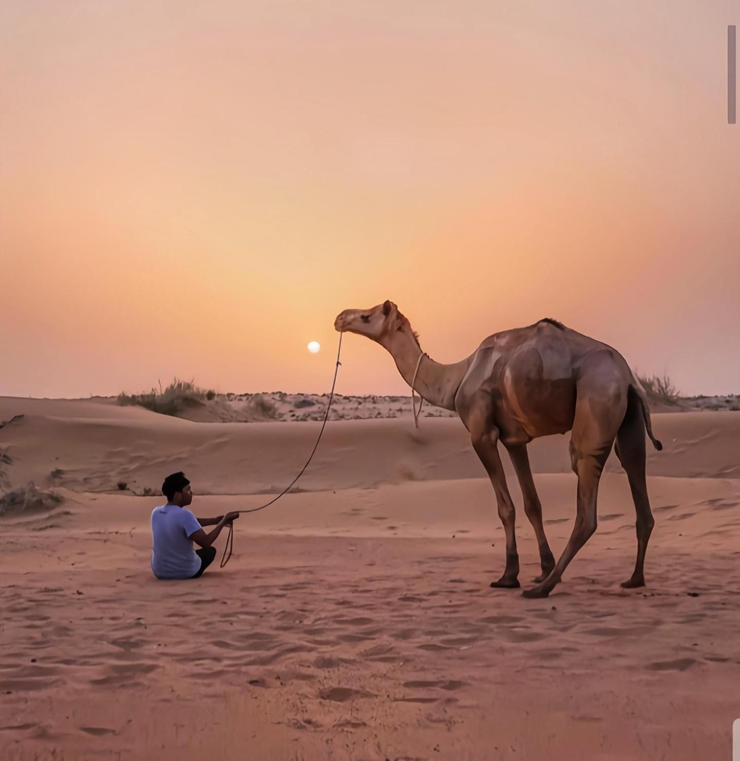 The Saffron Desert Camp Jaisalmer Εξωτερικό φωτογραφία